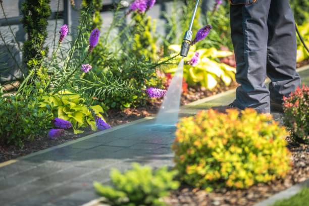 Best Sidewalk and Walkway Cleaning  in Woodbridge, VA